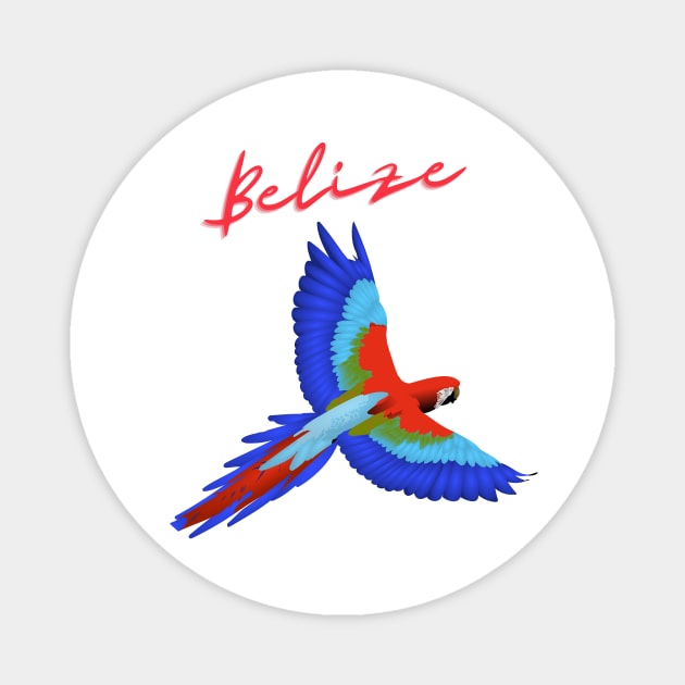 Belize Parrot Magnet by TexasRancher